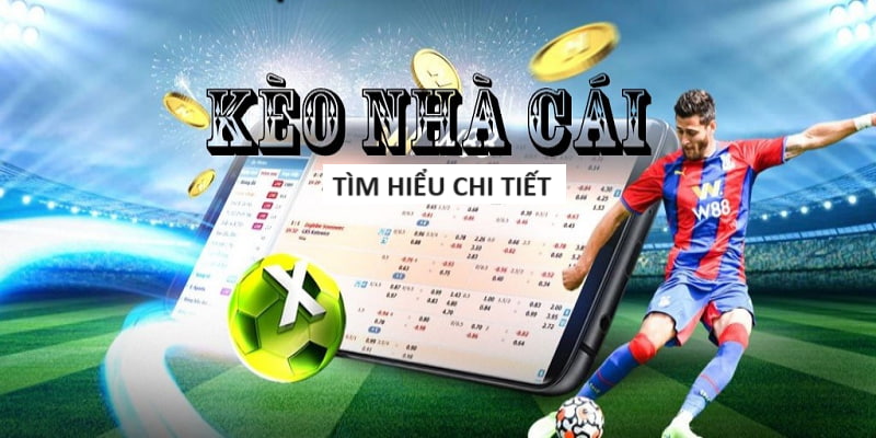 Sunwin Xóc Đĩa： Sự lựa chọn hàng đầu cho trò chơi cá cược online